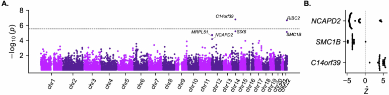 Figure 15