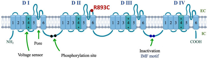 Figure 1