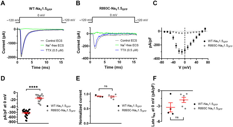 Figure 4