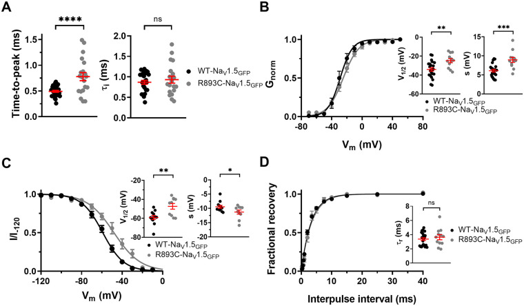 Figure 5