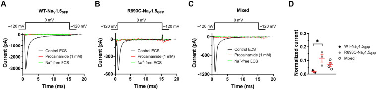 Figure 7