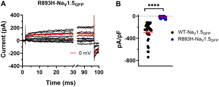Figure 9