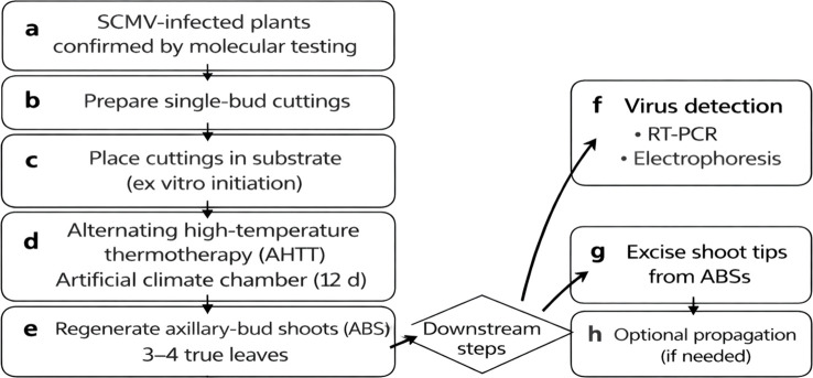 Figure 1