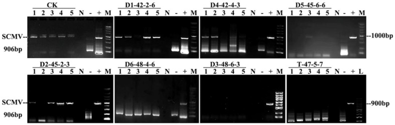 Figure 4