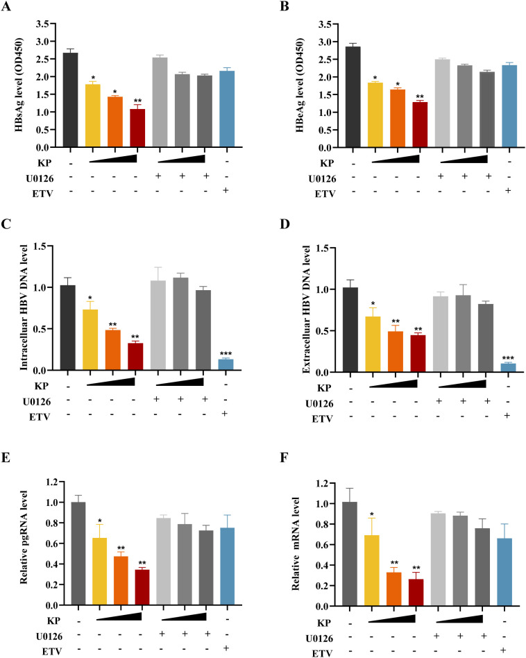 Figure 6