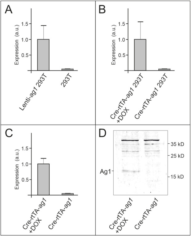 FIGURE 3