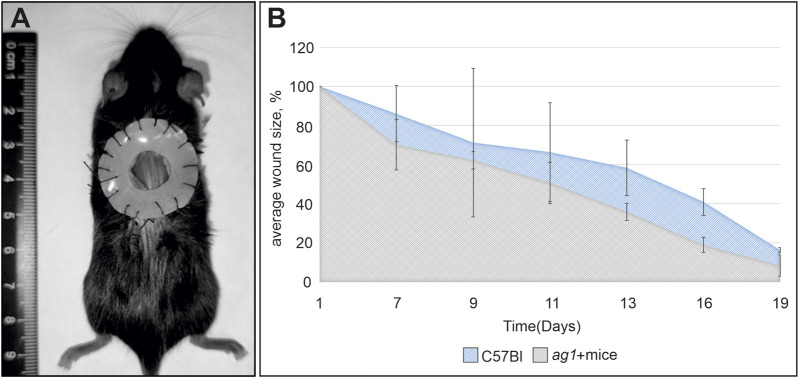 FIGURE 4
