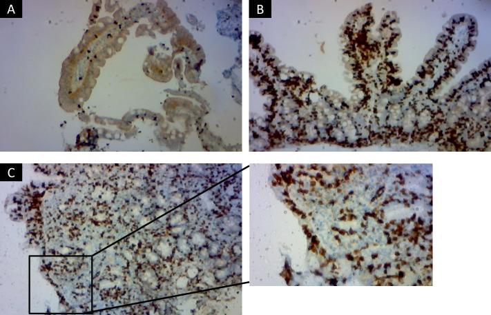 Figure 1