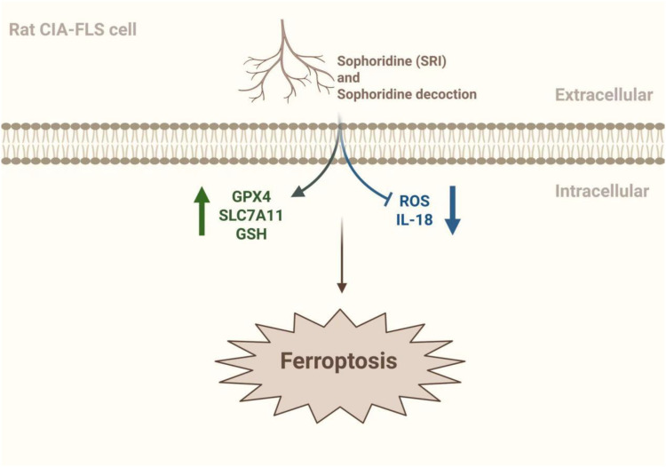 Figure 3