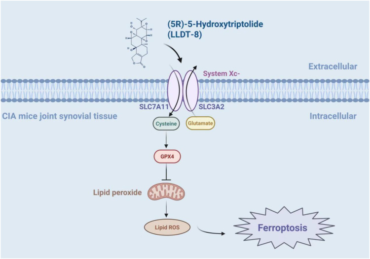 Figure 4