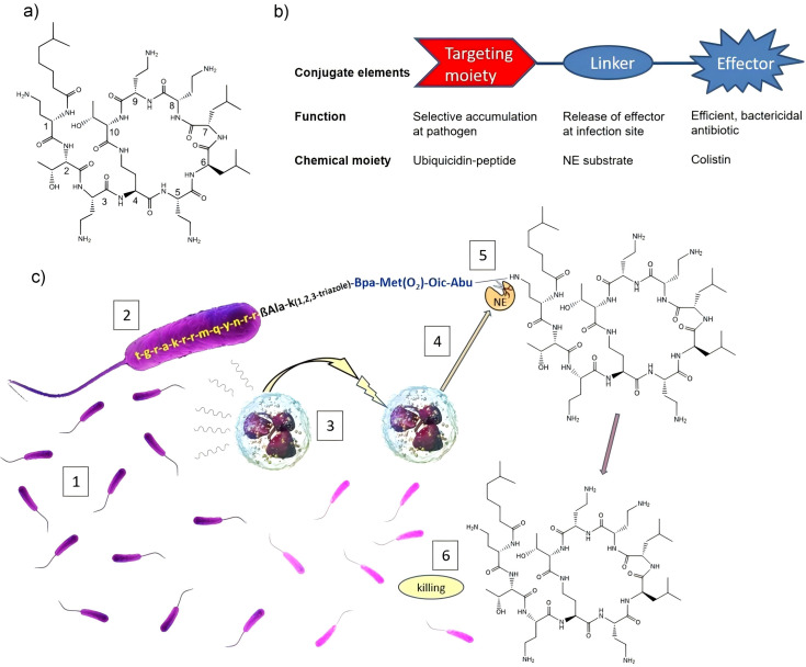 Figure 4