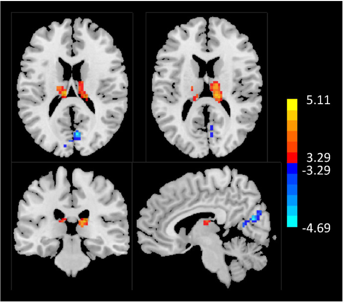 Figure 1