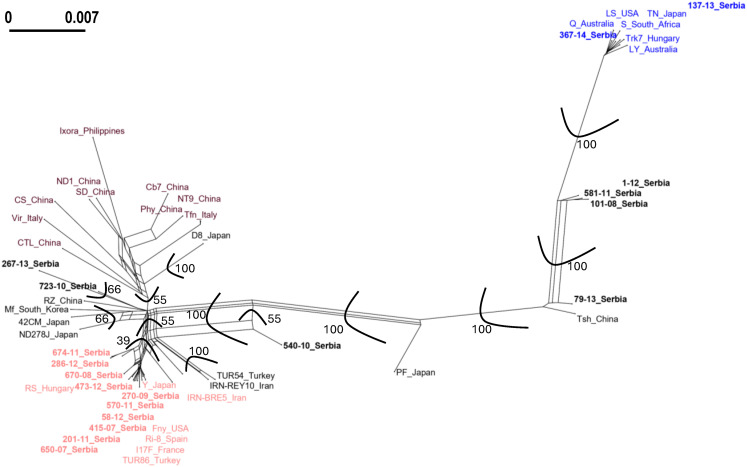 Figure 2