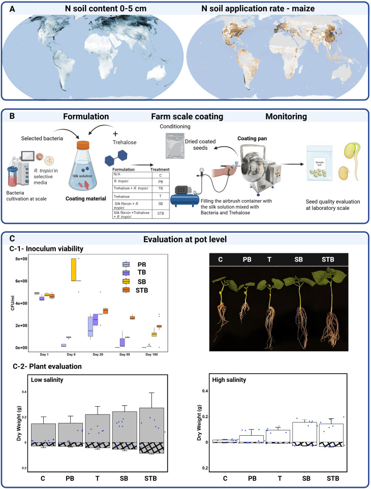 Figure 1