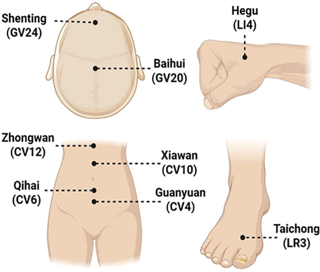 Figure 2