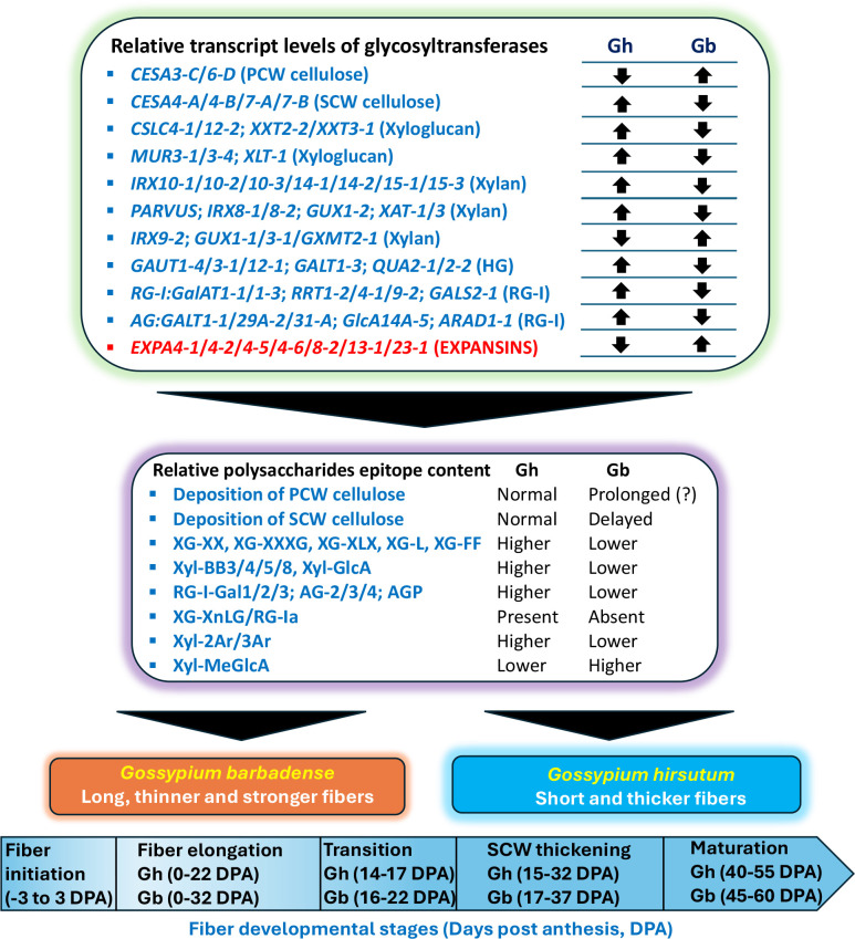 Figure 14