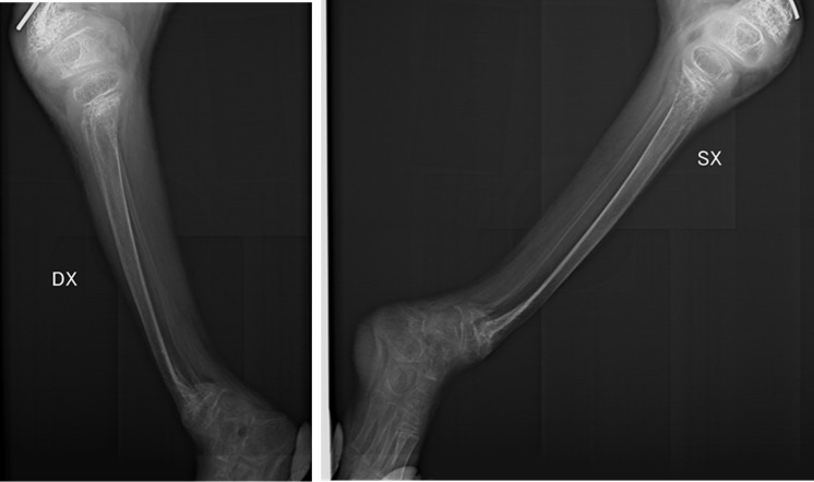 Figure 6