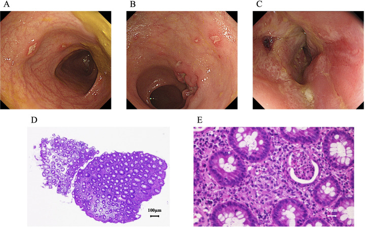 Figure 2