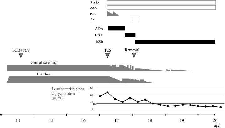 Figure 3