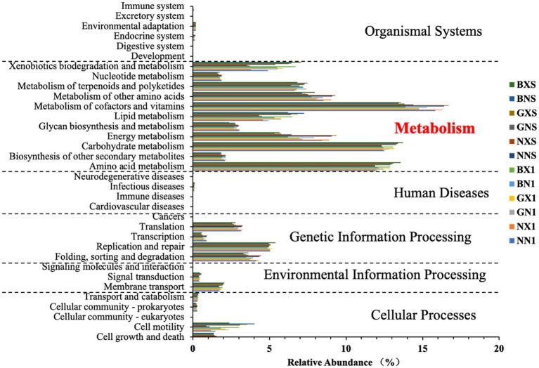 Figure 13
