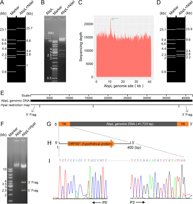 Figure 3