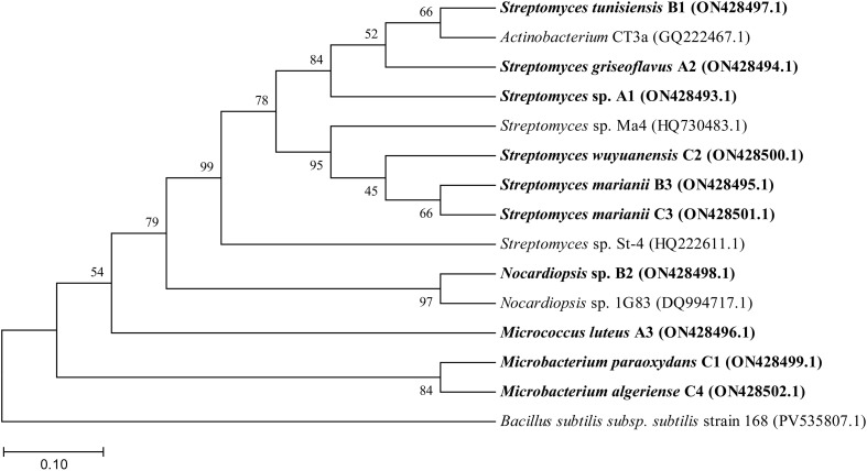 Figure 4