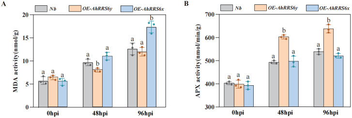 Figure 6