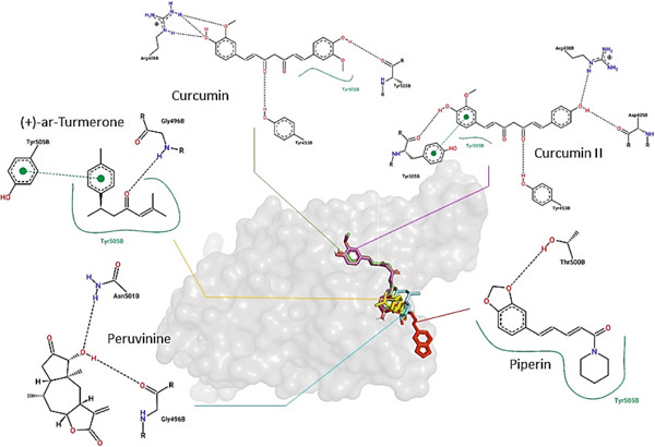 Figure 13