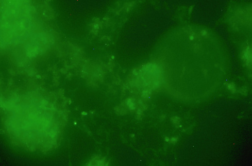 Figure 16
