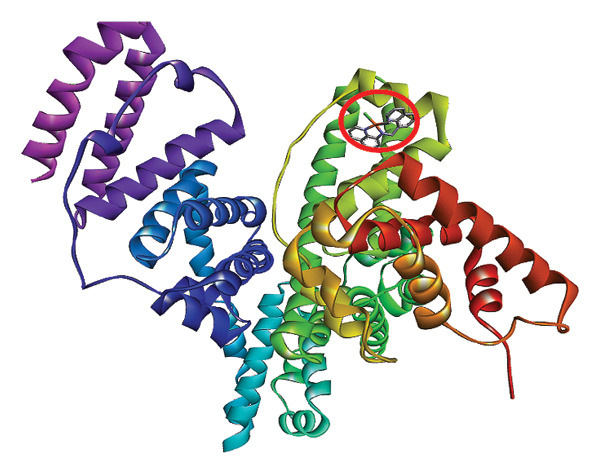 Figure 19