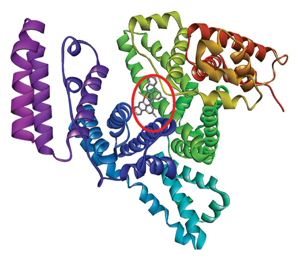 Figure 21