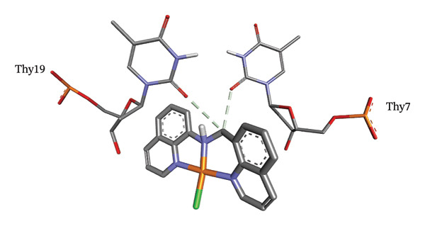 Figure 24