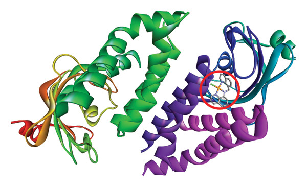 Figure 29