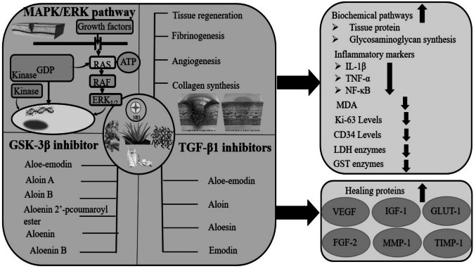 Figure 14