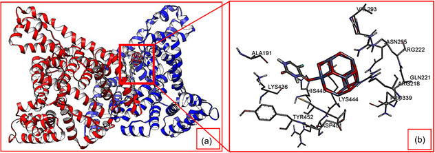 Figure 6