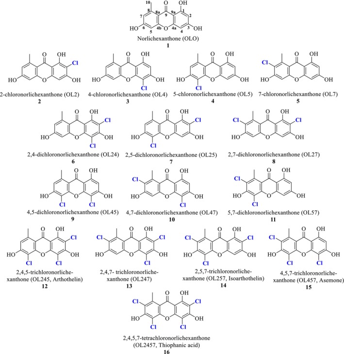 Figure 5