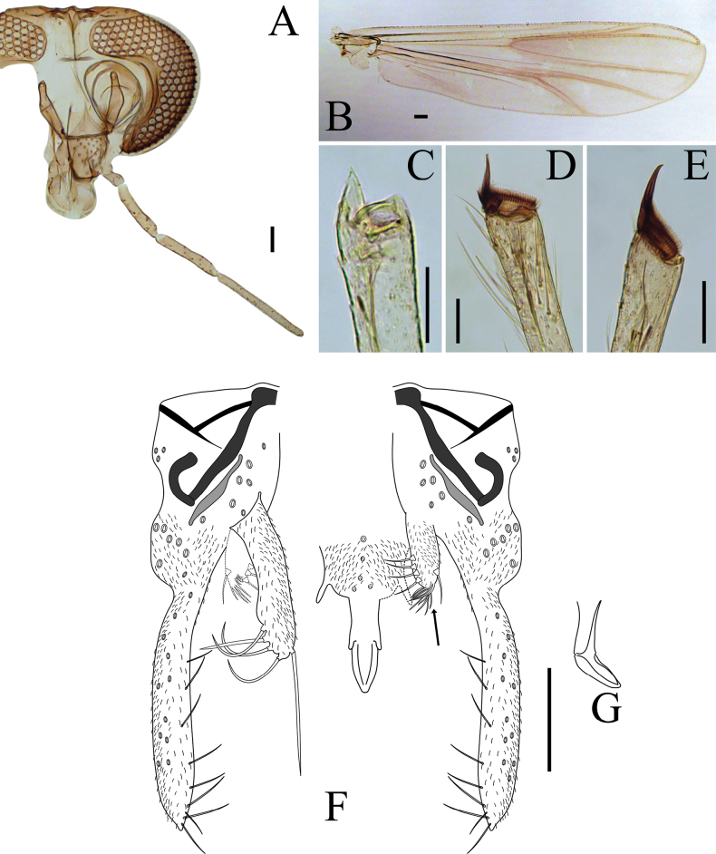 Figure 7