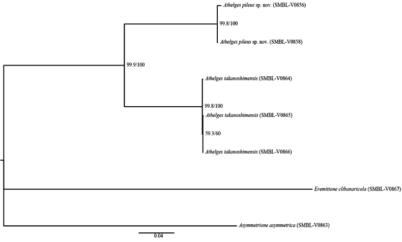 Figure 7