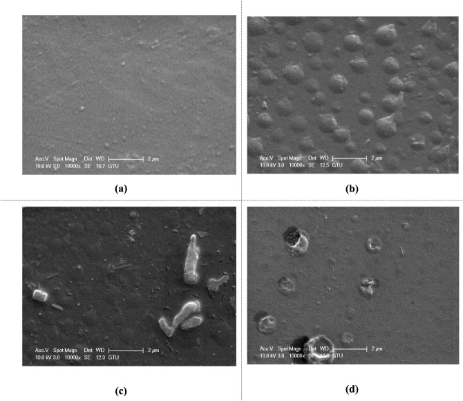 Figure 24