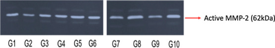 Figure 10
