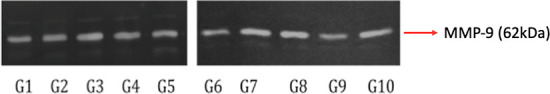 Figure 11