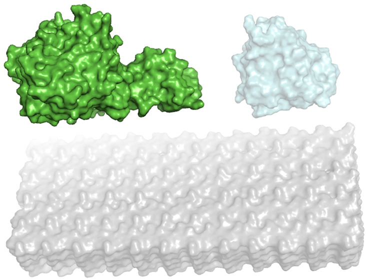 Figure 8