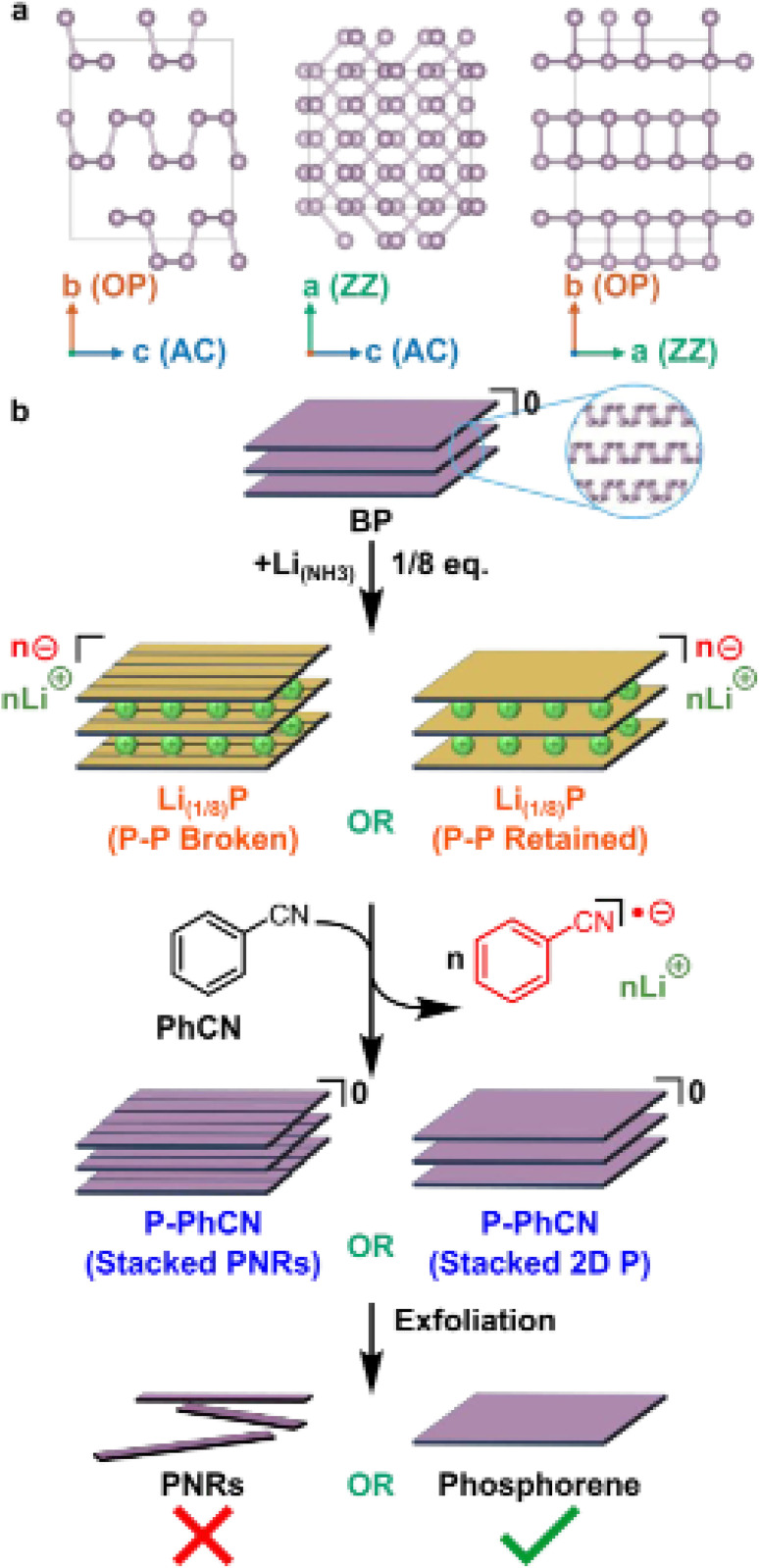 Figure 19
