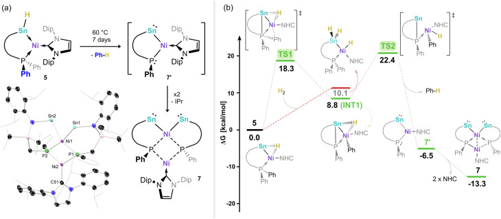 Figure 7