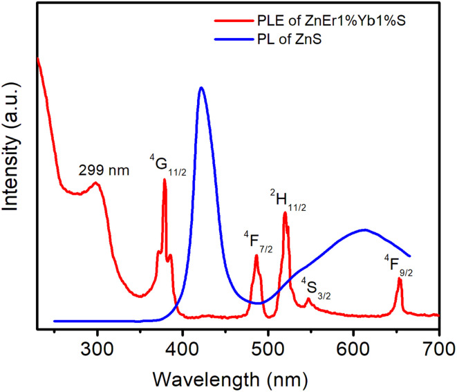 Figure 10