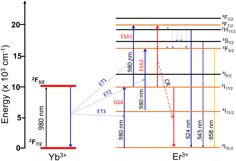 Figure 12