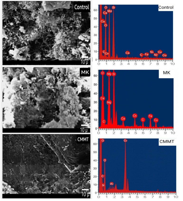 Figure 21