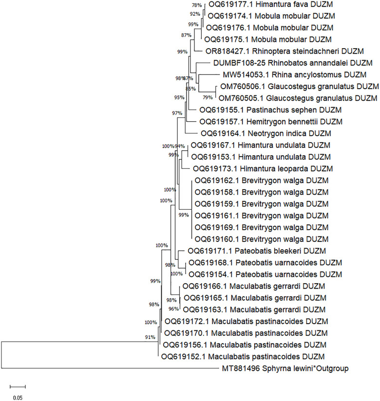 Figure 5