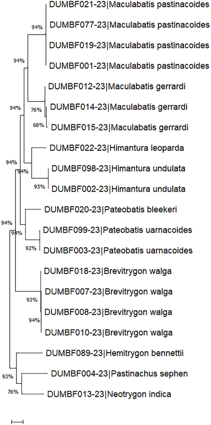 Figure 7
