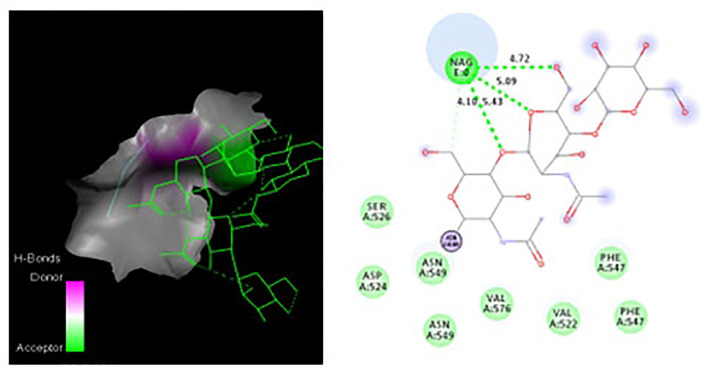 Figure 10